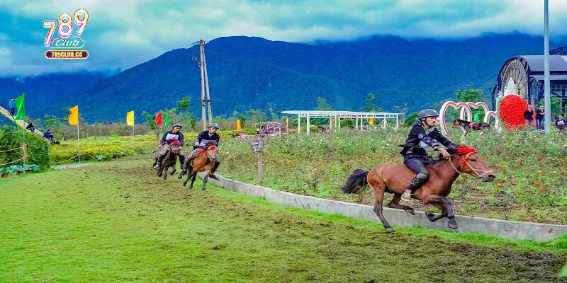 Câu hỏi thường gặp về đua ngựa Sapa