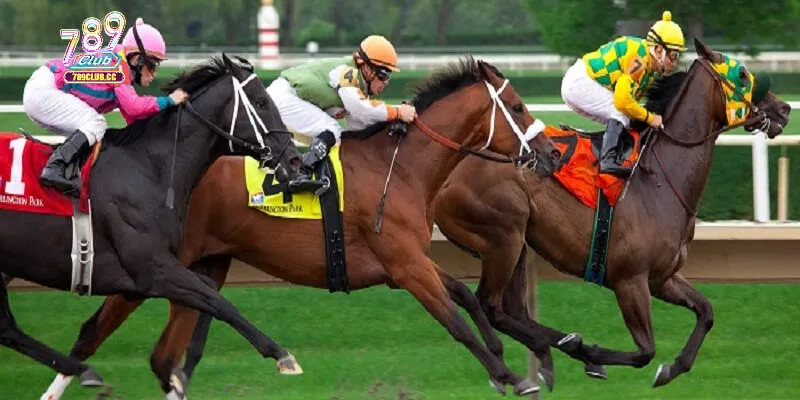 Cách chơi game đặt cược đua ngựa chiến thắng