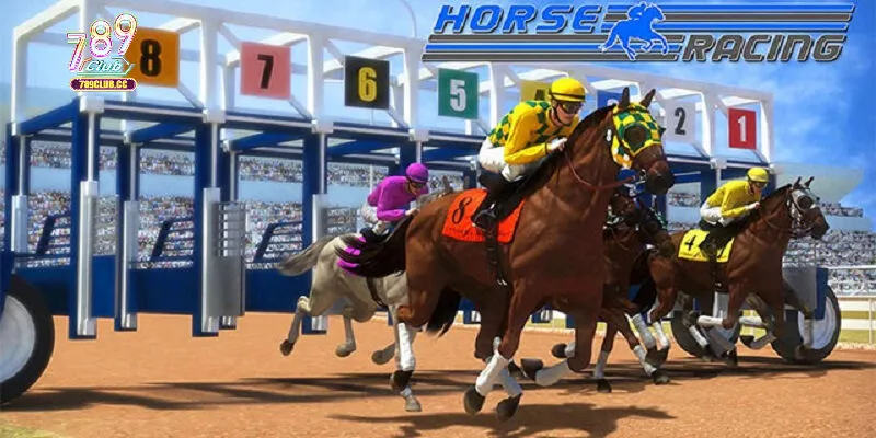 Kinh nghiệm chơi game đua ngựa điện tử thẻ